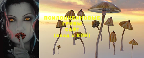 эйфоретик Гусиноозёрск