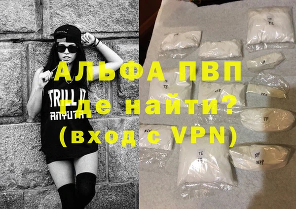 гашик Гусев