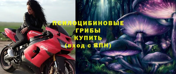 эйфоретик Гусиноозёрск