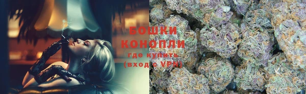 гашик Гусев