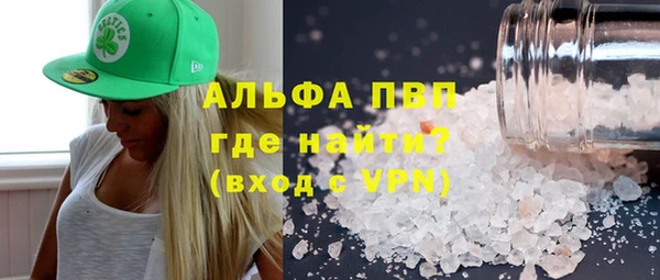 гашик Гусев