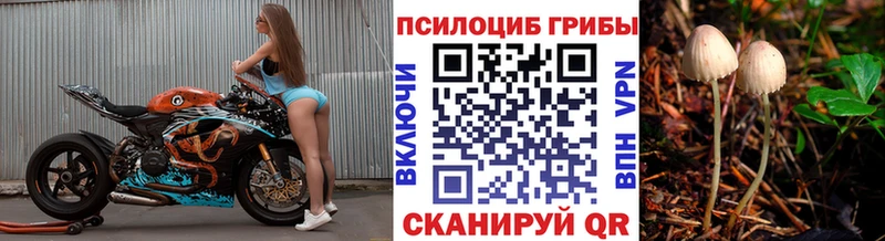 Галлюциногенные грибы Cubensis  Калач-на-Дону 