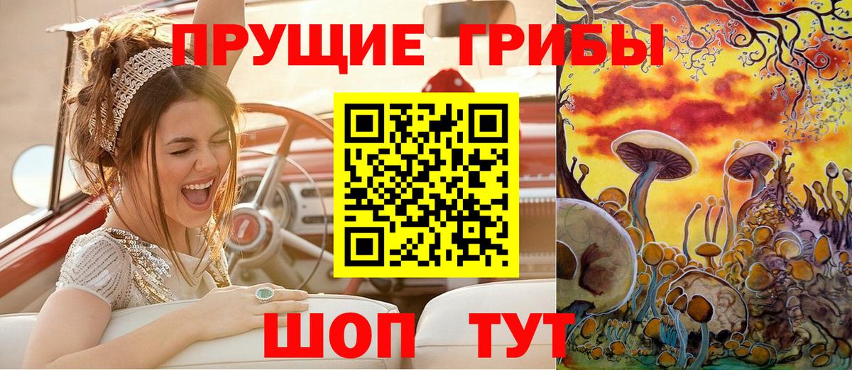 Псилоцибиновые грибы GOLDEN TEACHER Калач-на-Дону