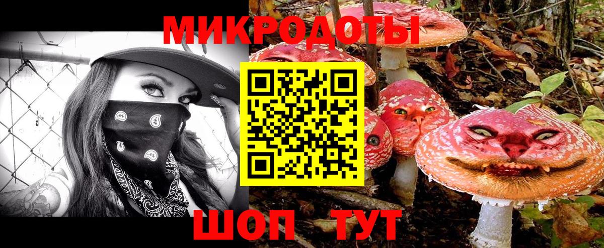 Псилоцибиновые грибы Psilocybe  купить  цена  Калач-на-Дону  Вход с VPN 